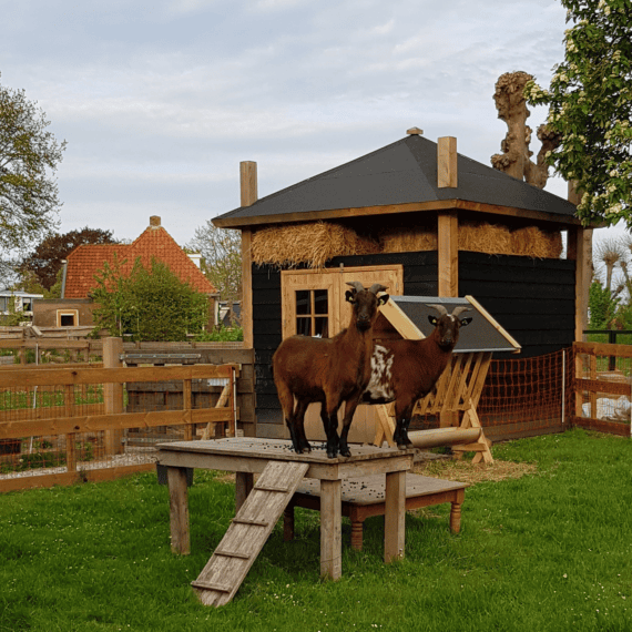 De Wurkpleats Menaam draait op doeners