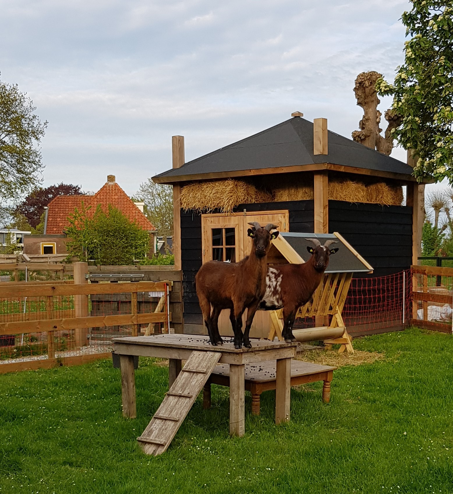 De Wurkpleats Menaam draait op doeners
